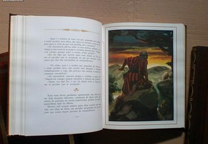 imagem_6