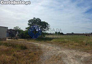 imagem_9