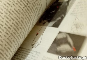 imagem_6
