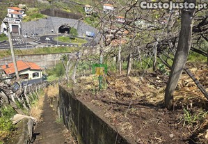 imagem_7