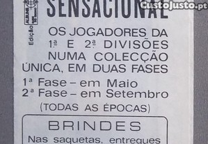 imagem_8