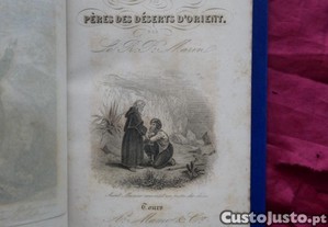 imagem_3
