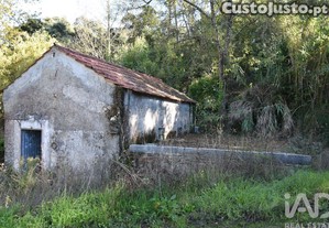 imagem_12