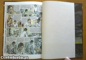 imagem_6