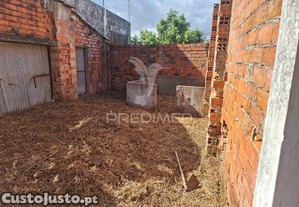 imagem_10