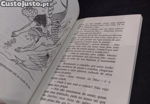 imagem_4