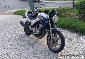 imagem_5