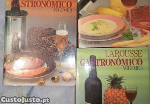 Larousse Gastronómico 3volumes
