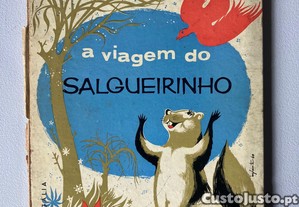 imagem_1