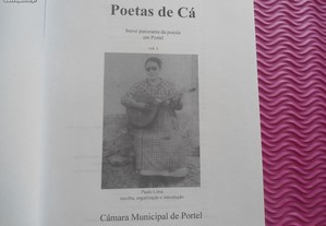 imagem_3