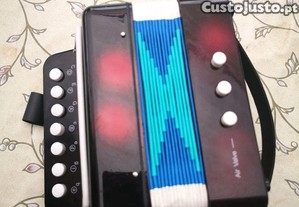 Concertina mini, criana