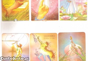 imagem_3