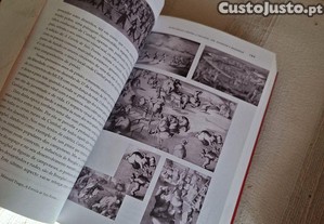imagem_4