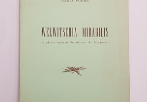 Welwitschia Mirabilis A Planta anómala do deserto de Moçamedes 1964