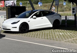 Tesla Model 3 Standard ranger Plus - 19