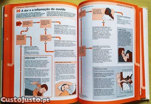 imagem_12