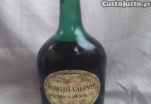 imagem_1