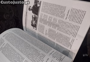 imagem_6