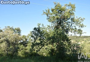 imagem_24