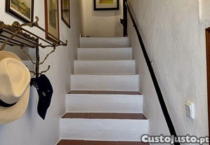 imagem_11
