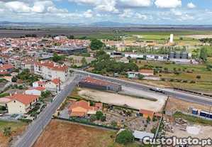 imagem_10