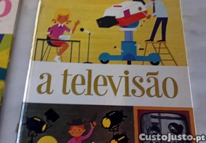 imagem_5
