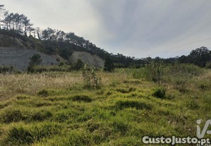 imagem_24