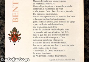 imagem_4