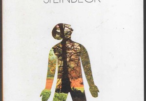 John Steinbeck. A um deus desconhecido.