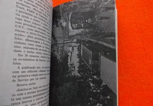 imagem_7