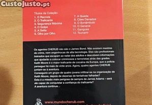 imagem_2