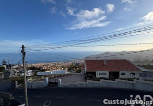 imagem_22