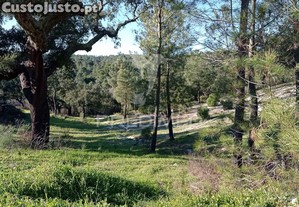 imagem_28