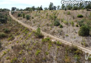 imagem_23