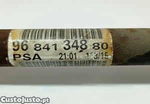 imagem_4