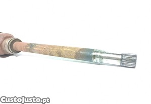 imagem_4