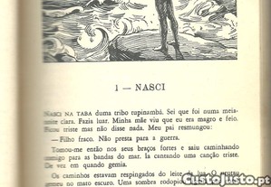 imagem_5
