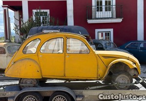 imagem_7