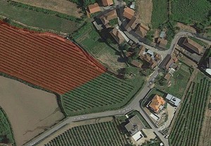 Terreno Agrícola com vinhas c/7500m2