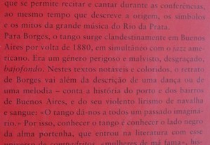 imagem_8
