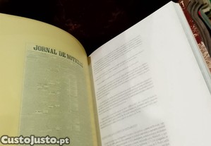 imagem_13