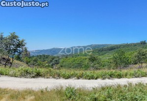 Terreno Rústico Com 4.450 M2 Em Charrasqueira,...
