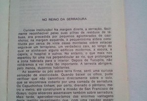imagem_4