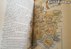imagem_7