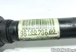 imagem_4