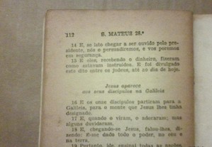 imagem_7