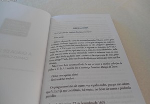 imagem_7