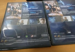 imagem_3