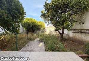 imagem_30