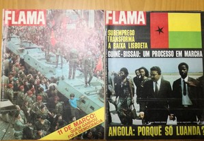 imagem_3